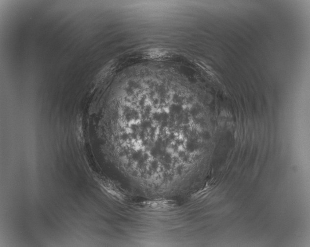 X0000056340524200509161739