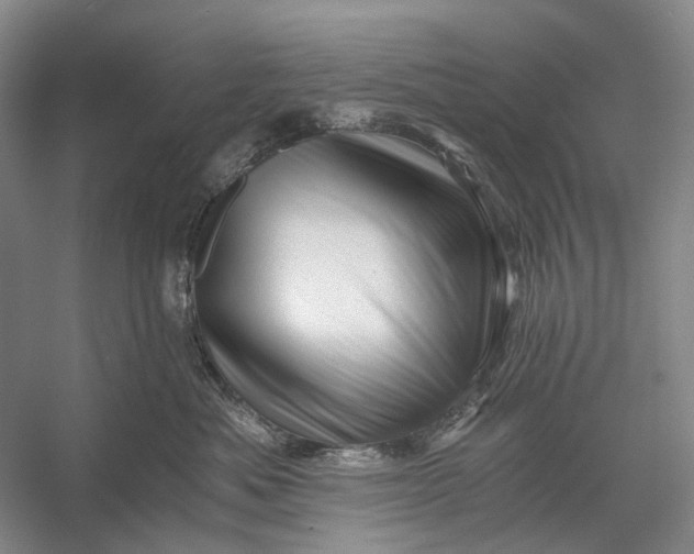 X0000056340525200509161739