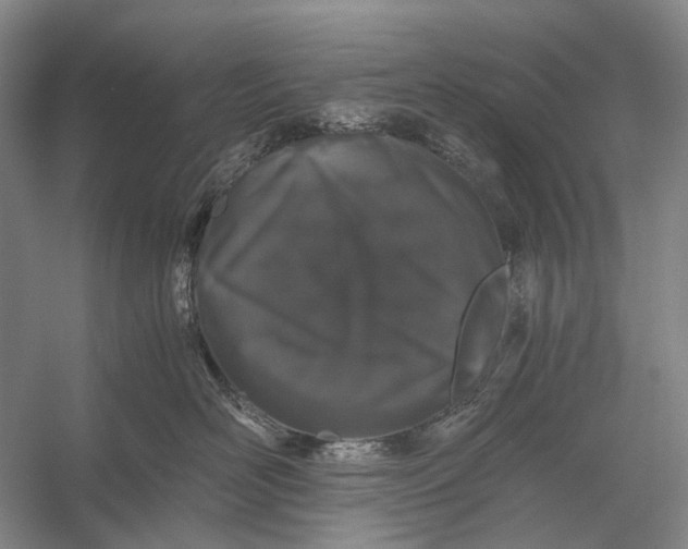 X0000056340526200509161739