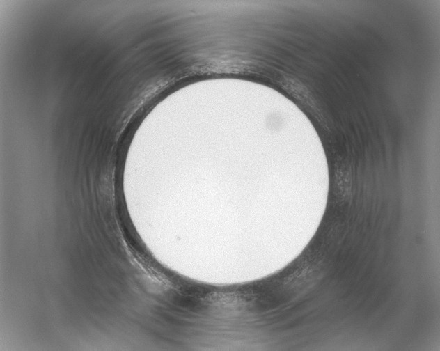 X0000056340534200509161738