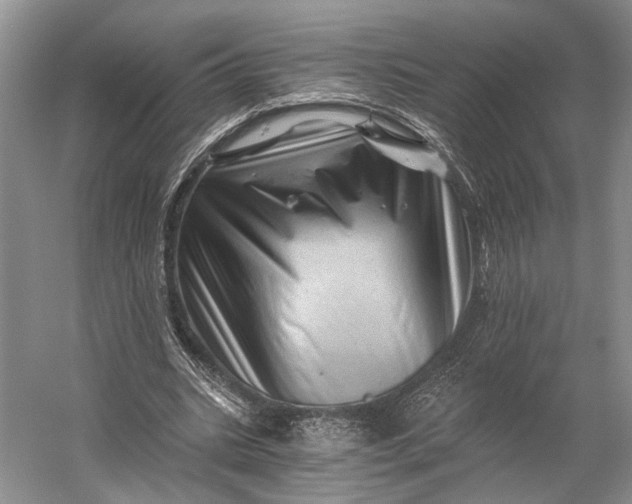 X0000056340535200509161738