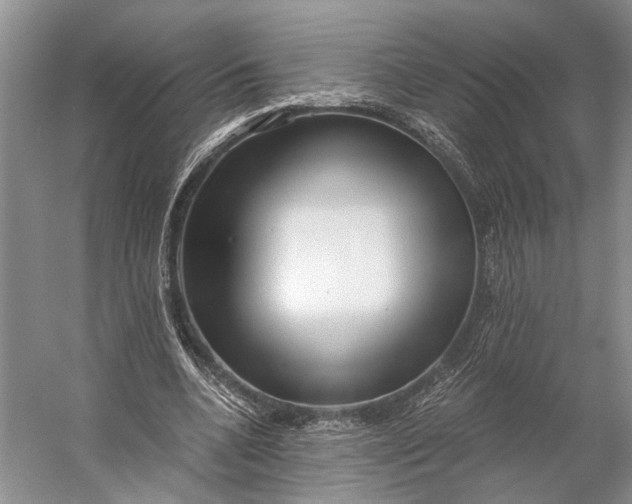 X0000056340536200509161738
