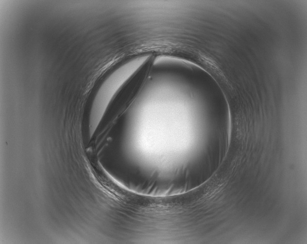 X0000056340538200509161738