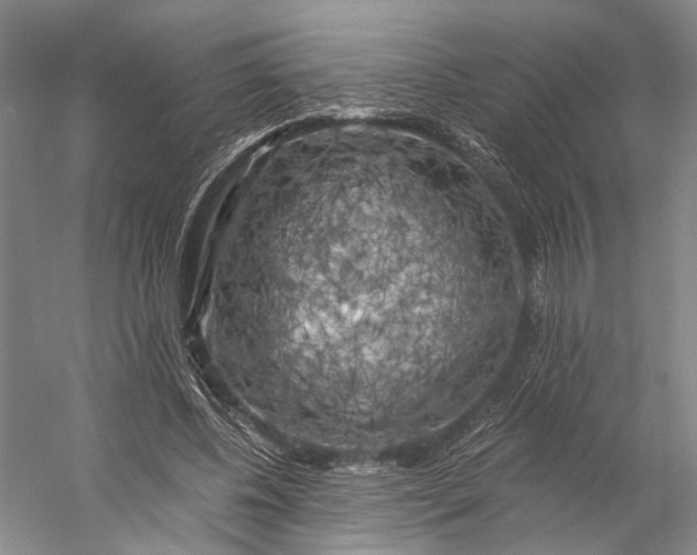 X0000056340540200509161738