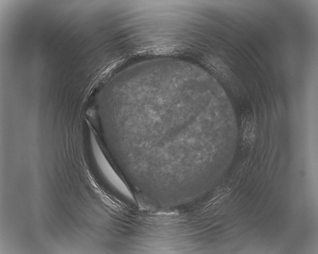 X0000056340542200509161738