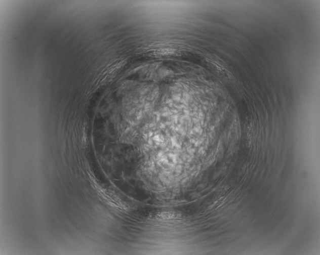 X0000056340546200509161738