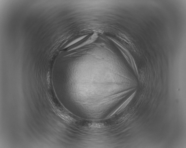 X0000056340549200509161738