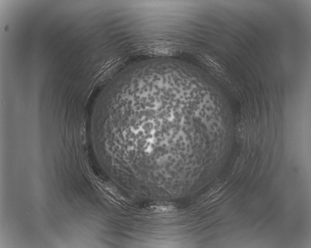 X0000056340552200509161738