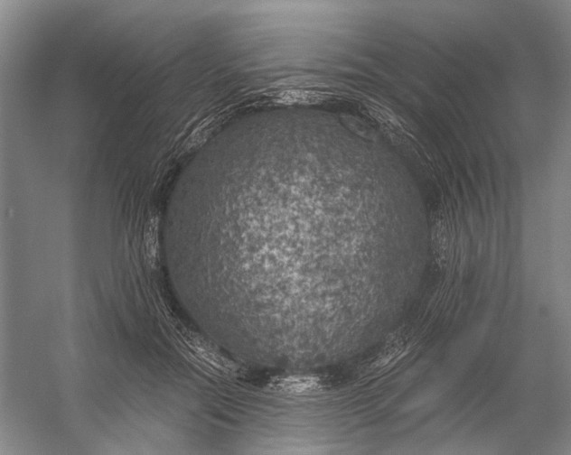 X0000056340554200509161738
