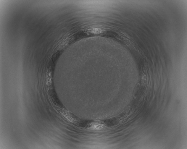 X0000056340555200509161738