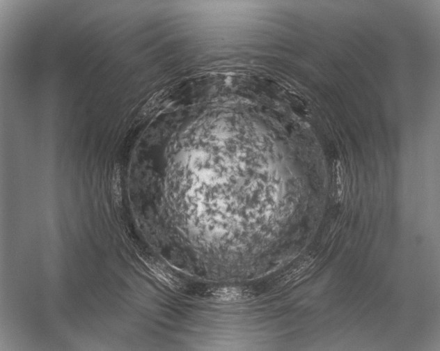 X0000056340562200509161739