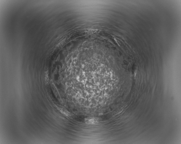 X0000056340564200509161739