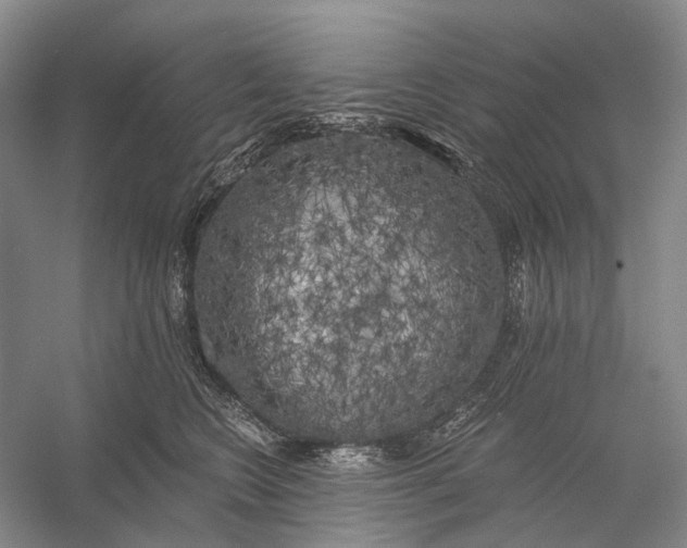 X0000056340566200509161739