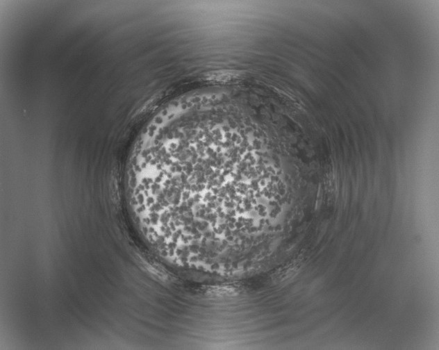 X0000056340572200509161739