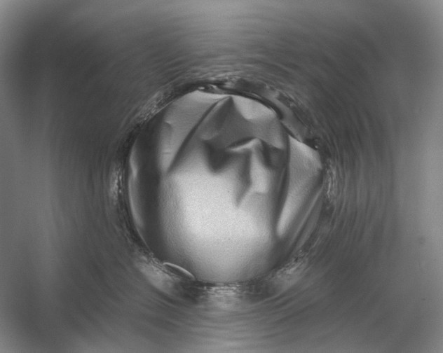 X0000056340574200509161739