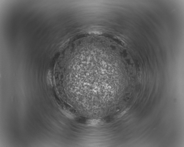 X0000056340575200509161739