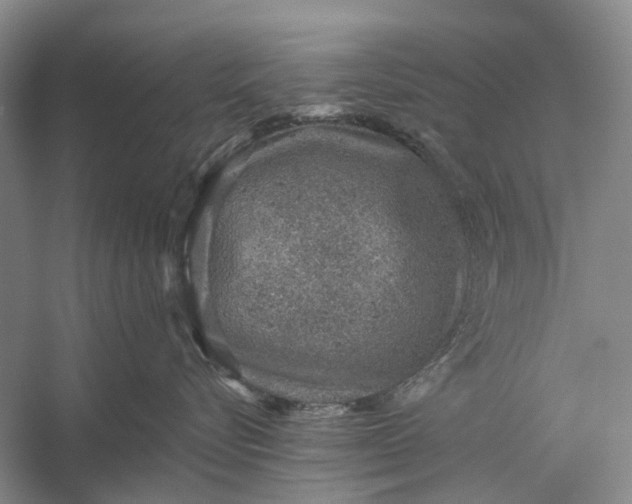 X0000056340576200509161739