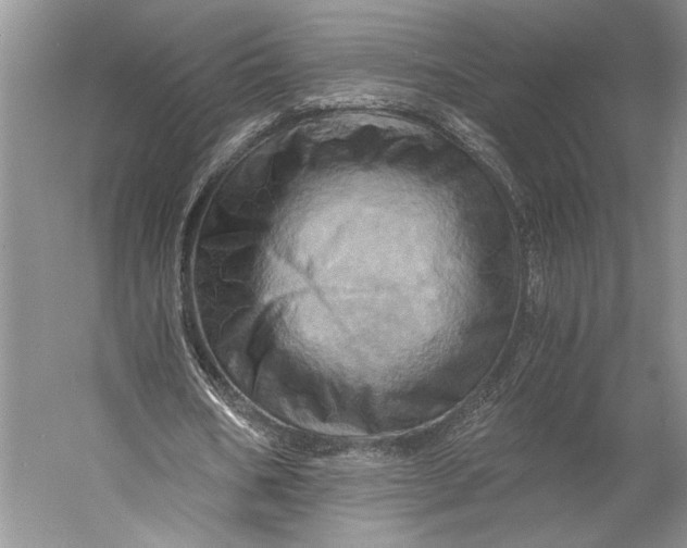 X0000056340578200509161738