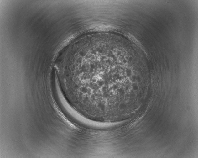 X0000056340581200509161738