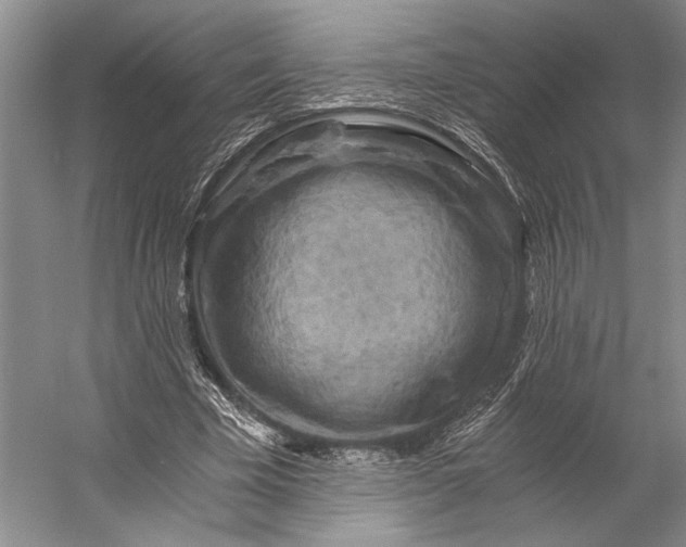 X0000056340585200509161738