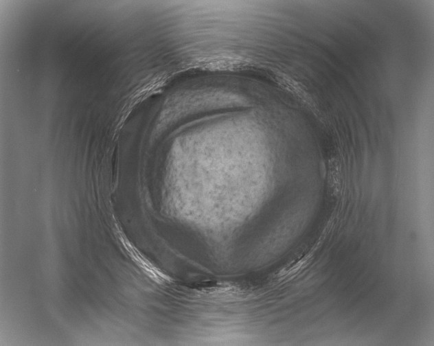 X0000056340589200509161738