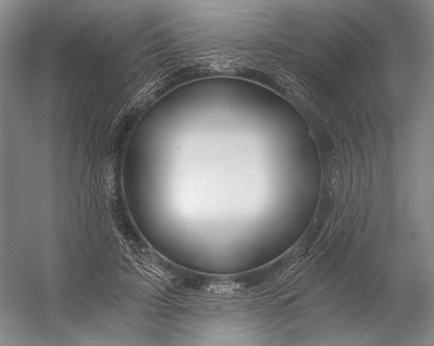 X0000056340595200509161738