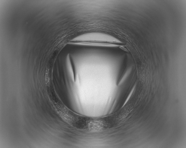 X0000056340599200509161738