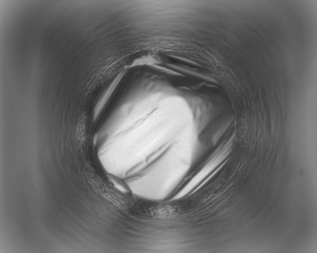 X0000056340600200509161738