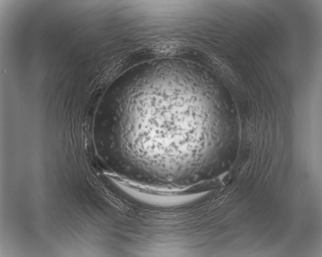X0000056340601200509161738