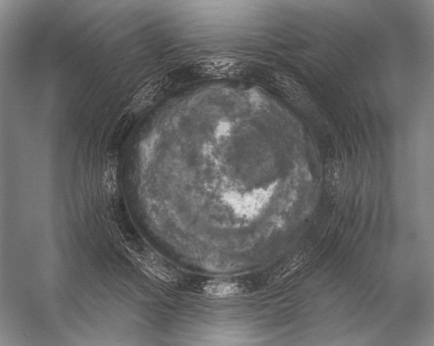 X0000056340602200509161738