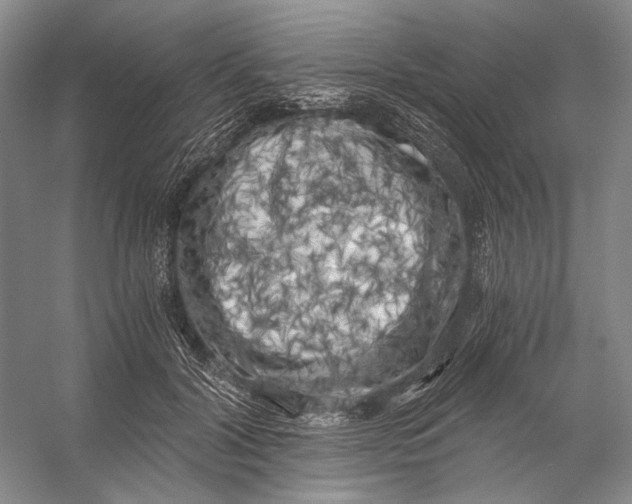X0000056340604200509161738