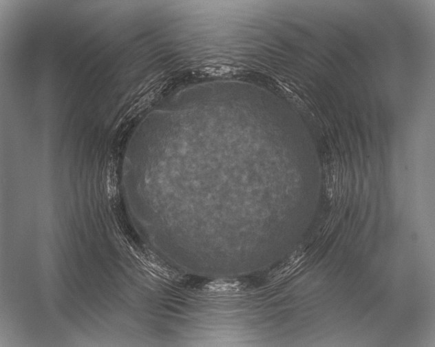 X0000056340606200509161737