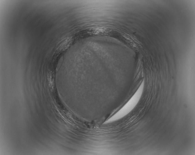X0000056340607200509161737