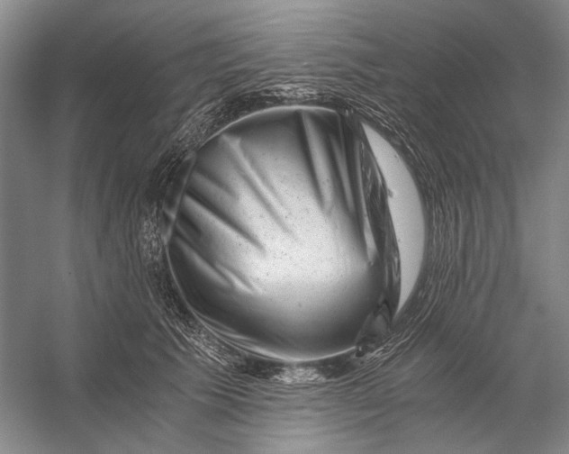 X0000056340609200509161737