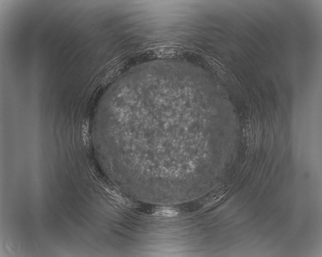 X0000056340610200509161737