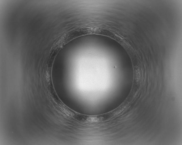 X0000056340613200509161737