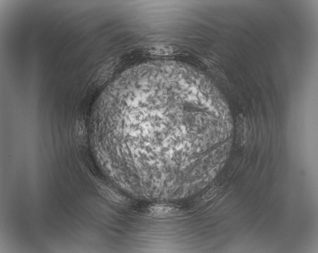 X0000056340614200509161737