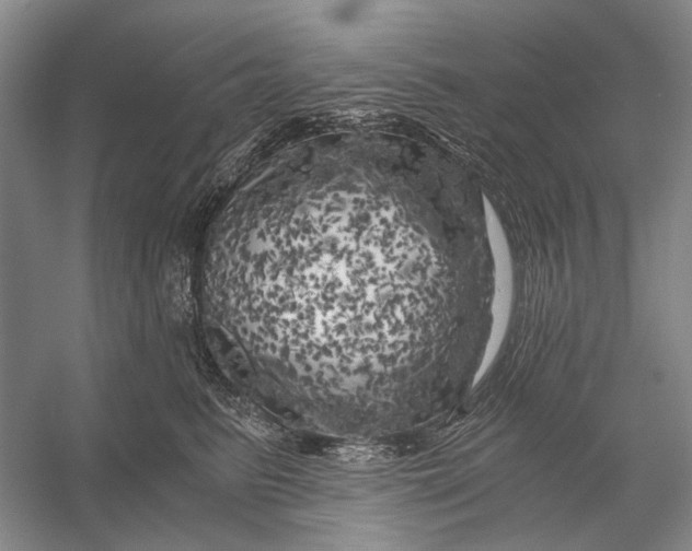 X0000056340615200509161737