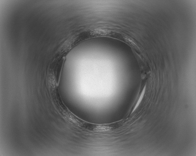 X0000056340617200509161737