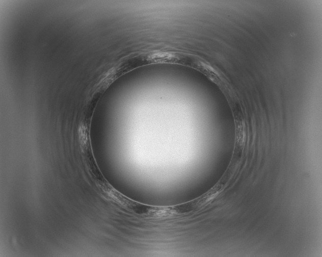 X0000056340621200509161737