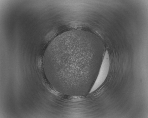 X0000056340623200509161737