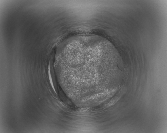 X0000056340624200509161737