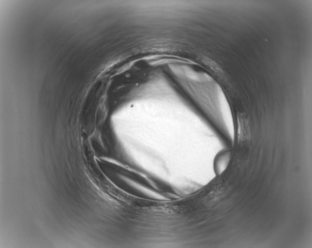 X0000056340627200509161736
