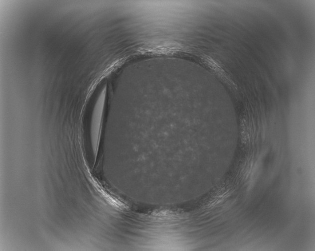 X0000056340634200509161737