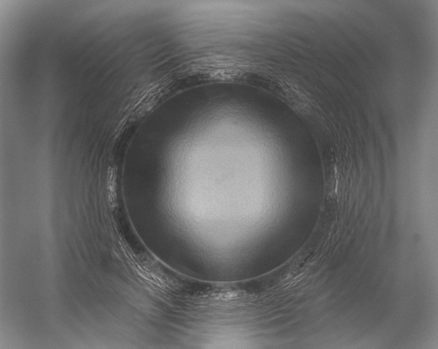X0000056340646200509161737