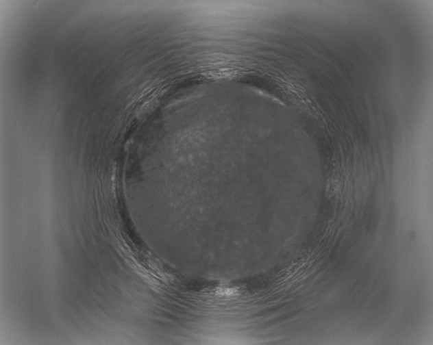 X0000056340647200509161737