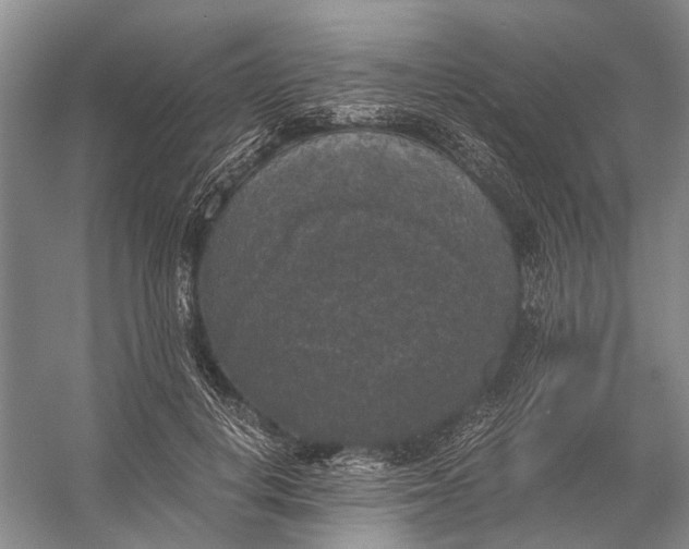 X0000056340648200509161737