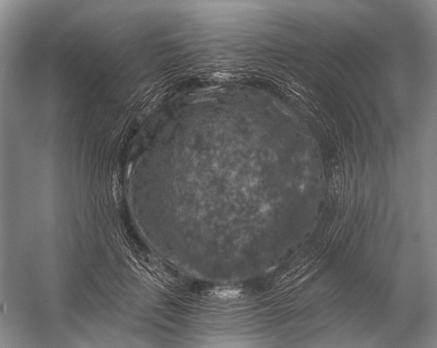 X0000056340651200509161737