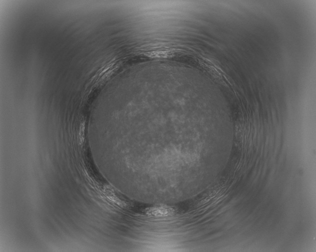 X0000056340652200509161737