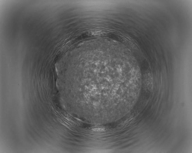 X0000056340653200509161737